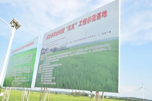 田头技术服务满畈驻，助力农业现代化发展